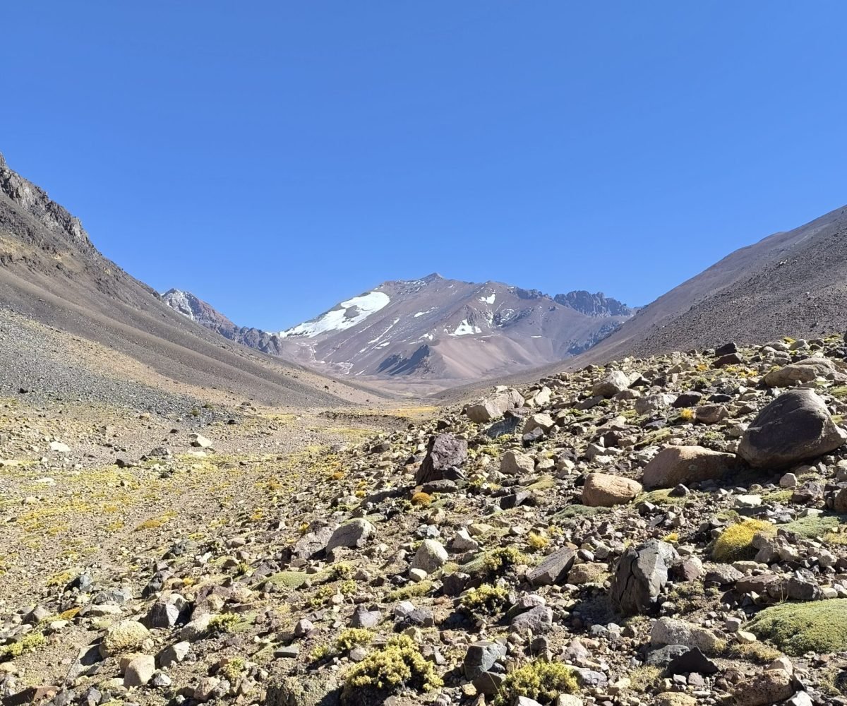 Copia de IMG_20250404_114450